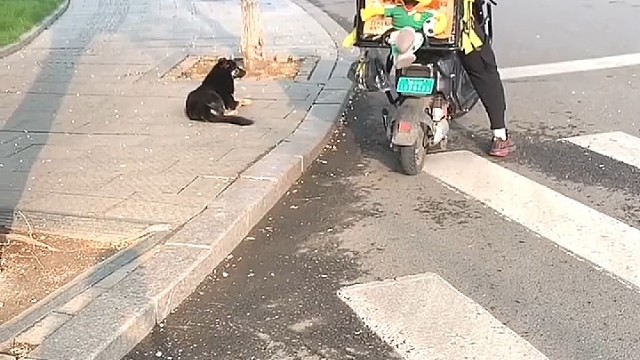 本来以为是温馨的故事，直到……