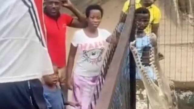 老鼠：你觉得你很幽默吗？