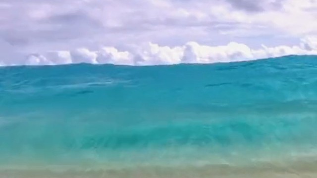 美景遇美人，屏幕前的你能否留下一个观众，不对是订阅。(ฅ∀&lt;