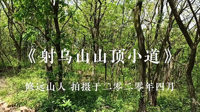 【修远山人】《射乌山山顶小道》