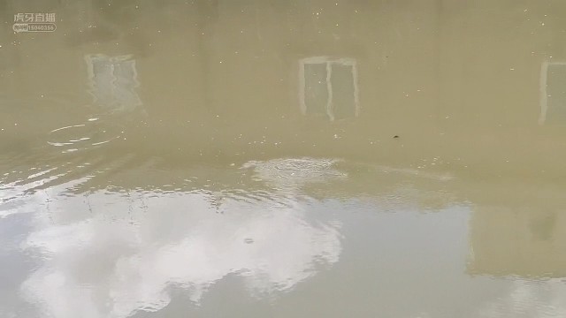 上鲤鱼精彩瞬间