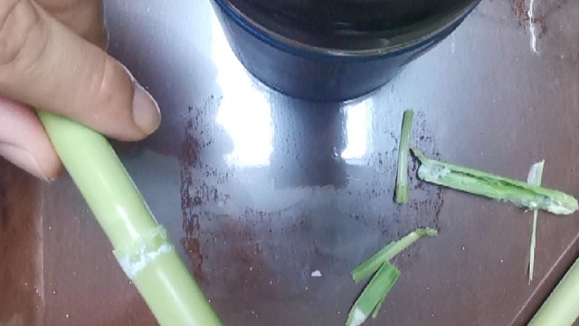 自己采了根芦苇，摸索芦苇膜取出方法