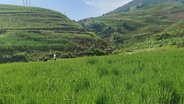 又有几个童年呢？