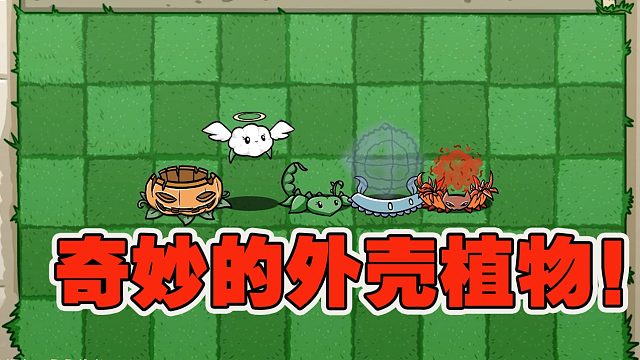 植物大战僵尸：这些奇妙的外壳植物，你们知他们具体的用途吗？