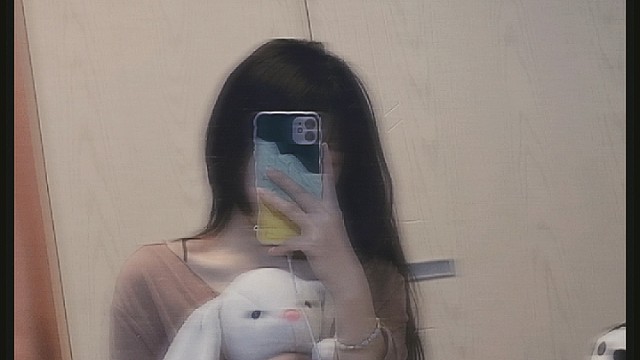 今天摸猫猫了吗