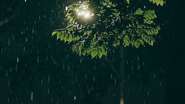 粉丝强烈要求的每周一首歌（2）