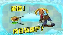 植物大战僵尸：向日葵长在了僵尸头上？真离谱！