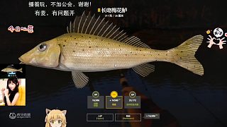 三圖漁夫之星長吻梅花鱸，難道是藍(lán)長吻Buff加持？