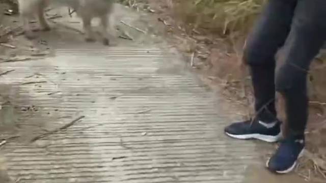 说啥今天也得给你一下子