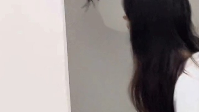 你见过这么大的蜘蛛吗？