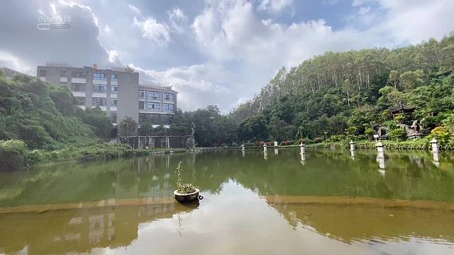 早上山庄的湖边晒太阳