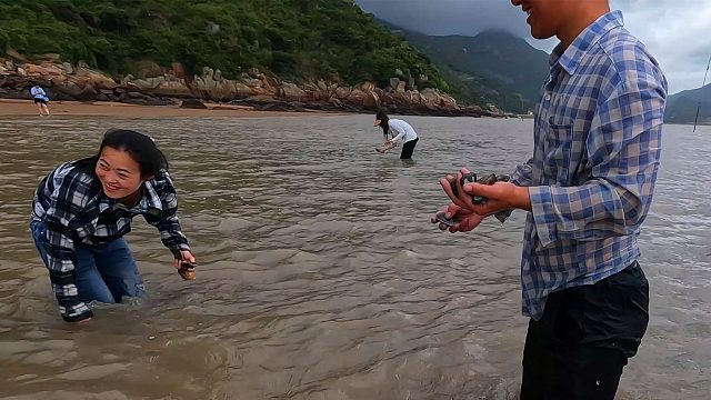 10几人赶海浑水摸螺，抓大带子单个一斤重，晚餐煮一桌海鲜