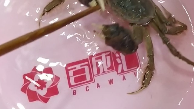 搞笑小螃蟹