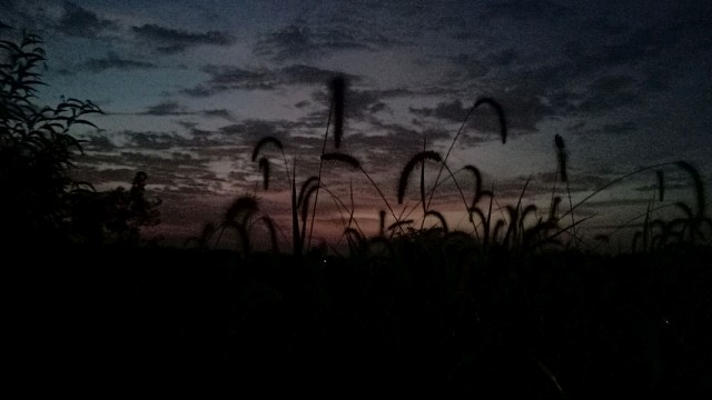 新人主播多多指教