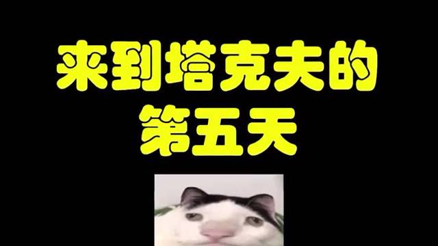 来到塔克夫的第五天，两个新手互相教学，一个敢交一个...