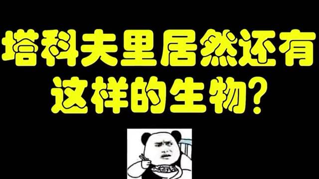 你们还见过什么奇怪的生物？