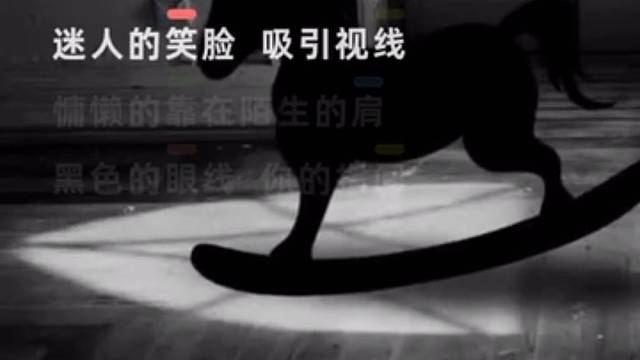 圣罗兰之花会枯萎但它永不凋零因为总有浪漫来浇灌