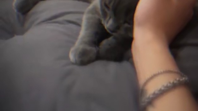 你终究还是……