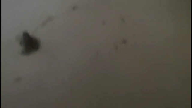 新发展奔跑的蛤蟆