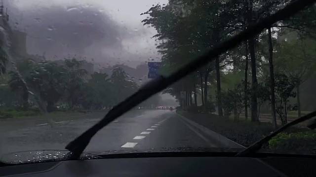 孤独才是最高级别的自由