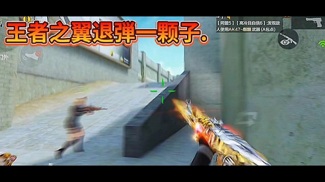 一颗子
