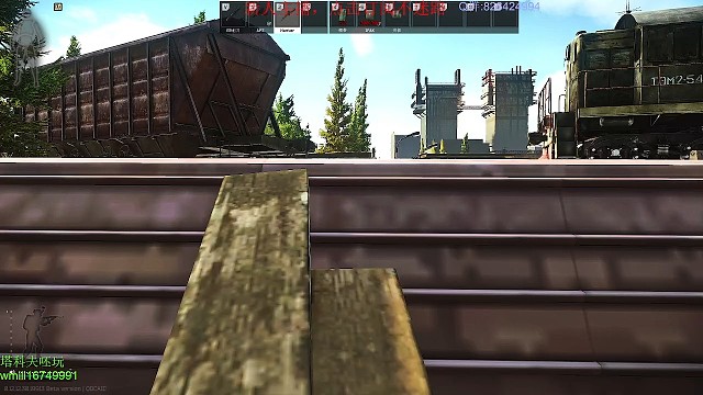 究竟是身法大师还是菜鸡互啄