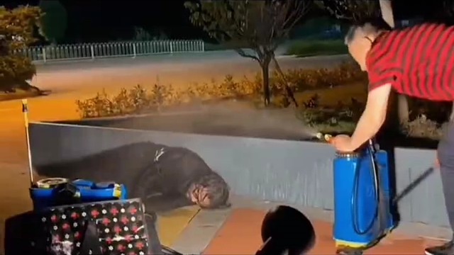 认识的人那么多，有几个是真心的？