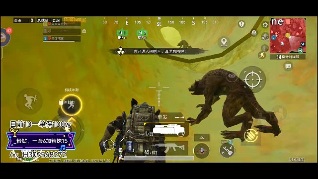 下次试试拳打狗子