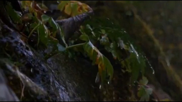 今天有事，取消直播