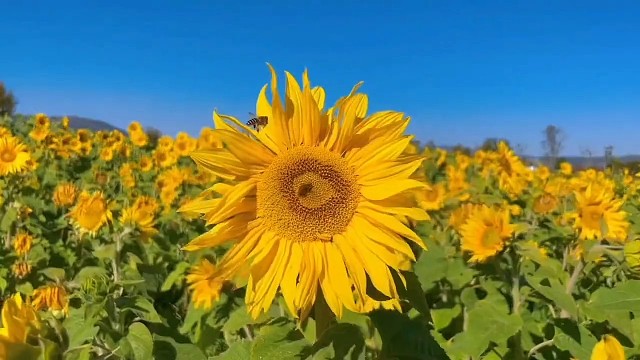 享受每一天前行懿伟