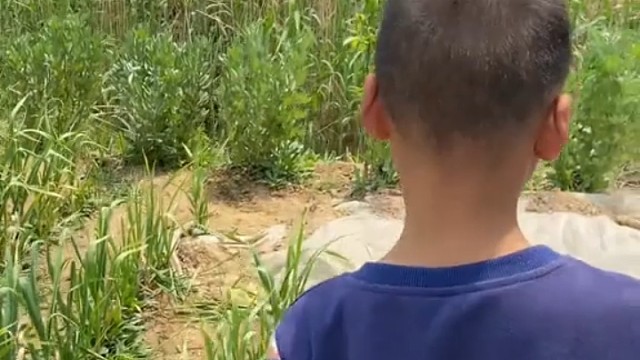 今天胃口好，吃嘛嘛香