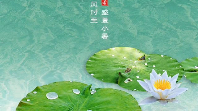 生如夏花正当时