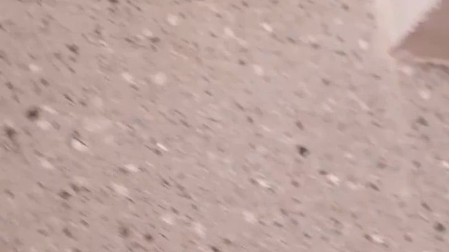 这么可爱的我，你确定不要。