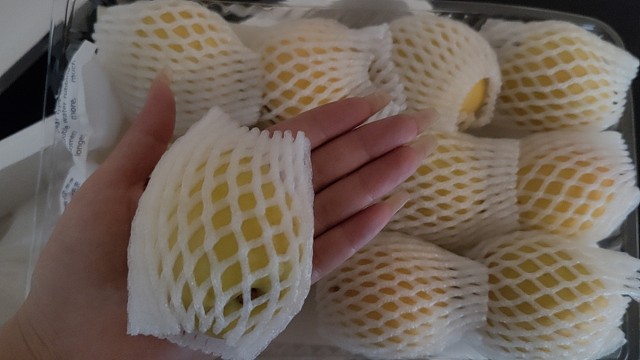 大大大大大大大杏