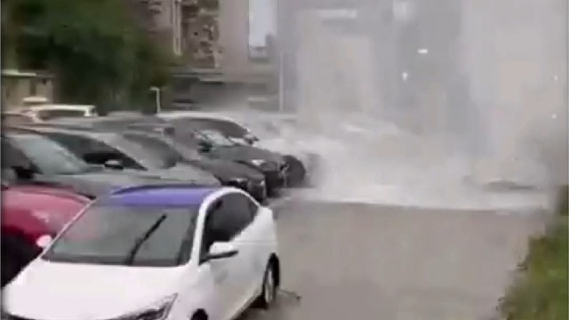 新手上路请小心驾驶