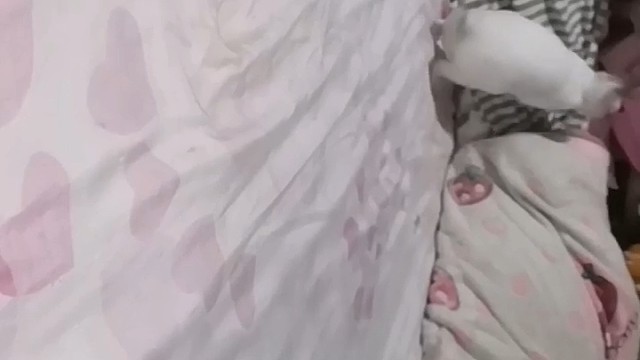 团团小时候在床上蹦迪