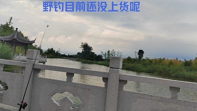 筏竿等货