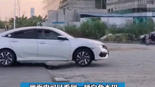 遇到坑洼路段,减速擦底盘,不减速反而没事,真是这样吗?