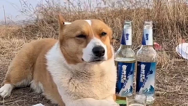 他人虐我千百遍，我仍待她如初恋！