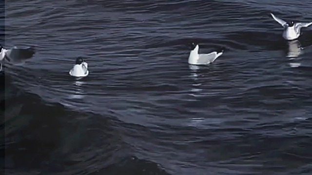 这段时间好难熬好多事情压的我喘不过气来没有办法调整好自己的负面情绪就是会突然难过头一低眼泪就掉