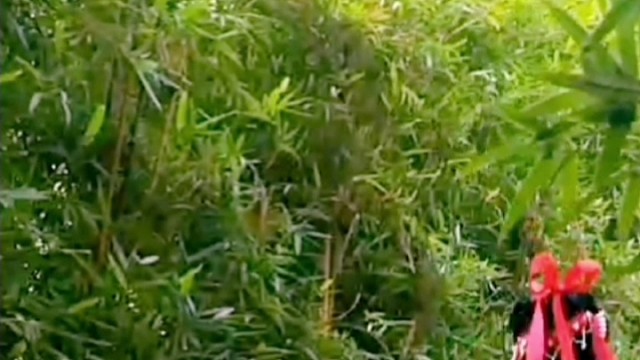 有个女闺蜜的重要性