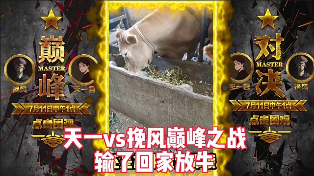 天一君vs挽风 巅峰之战输了回家放牛