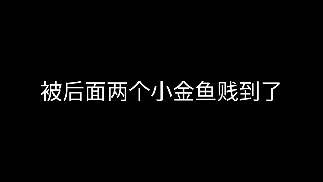 被后面两个小金鱼贱到了