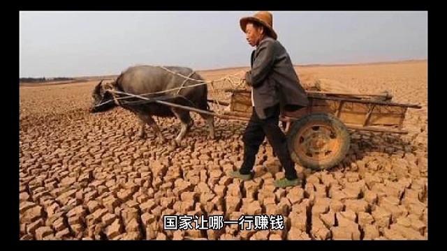 顺势而为老板只有跟上政策才能赚到#老板财税筹划#老板财税兵法#老板财税36计