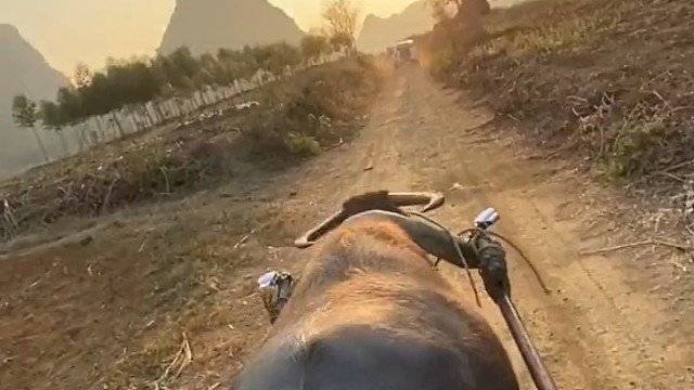 什么宝马奔驰都是弟弟，这才是真汉子的座驾