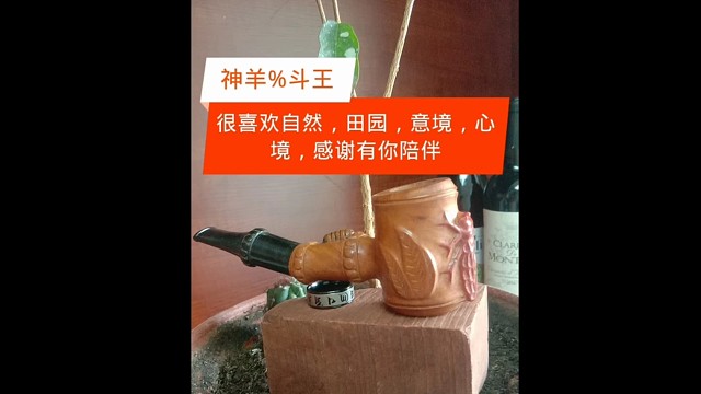 自然创造万物生灵，万物生灵和谐共存，享受一份安宁，创造一片天空