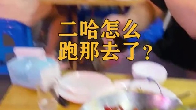 别人家的狗撩妹…我家的狗撩妹？