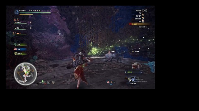 陆珊瑚台地夜景