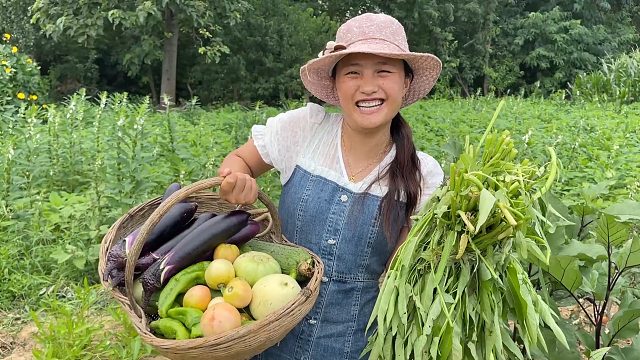 2天没去菜园了，各种瓜果蔬菜长势真不错，媳妇随便一摘几十斤
