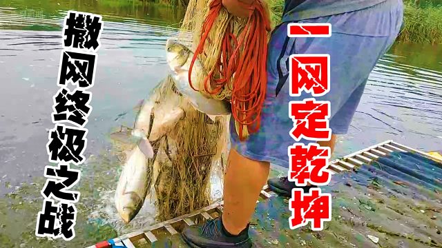 【微山湖】这一网，神之一网！